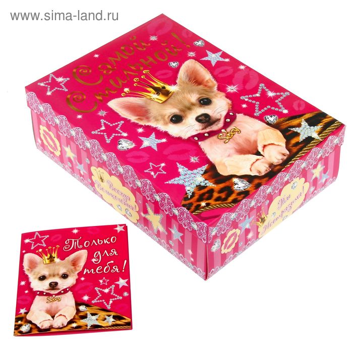Подарочный складной набор. Коробка и открытка «Самой стильной», 2 × 22 × 30 см - Фото 1