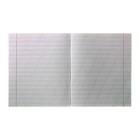 Тетрадь 12 листов косая линейка "Зелёная обложка" - Фото 2