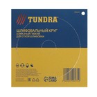 Алмазный гибкий шлифовальный круг ТУНДРА «Черепашка», для сухой шлифовки, 100 мм, № 1500 - Фото 7