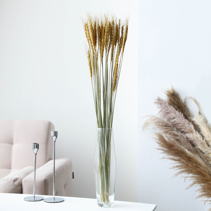 Сухой колос пшеницы, набор 30 шт., цвет золотой - Фото 1