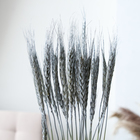 Сухой колос пшеницы, набор 30 шт., цвет серебряный - Фото 2
