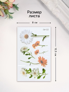 Переводные тату на тело цветные «Ромашки», 12?7.8 см, МИКС (комплект 6 шт)