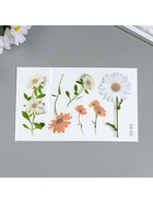 Переводные тату на тело цветные «Ромашки», 12?7.8 см, МИКС (комплект 6 шт) - фото 42858112 Переводные тату на тело цветные «Ромашки», 12?7.8 см, МИКС (комплект 6 шт) - фото 42858112