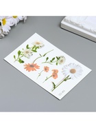 Переводные тату на тело цветные «Ромашки», 12?7.8 см, МИКС (комплект 6 шт) - фото 43709575 Переводные тату на тело цветные «Ромашки», 12?7.8 см, МИКС (комплект 6 шт) - фото 43709575