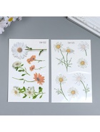 Переводные тату на тело цветные «Ромашки», 12?7.8 см, МИКС (комплект 6 шт) - фото 43709576 Переводные тату на тело цветные «Ромашки», 12?7.8 см, МИКС (комплект 6 шт) - фото 43709576