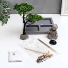 Японский сад камней настольный «Дзен. Маленький Будда у дерева в саду», с набором аксессуаров, 22.5×20×19.8 см - Фото 4