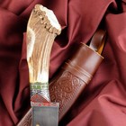 Нож Пчак Шархон - рукоять кость (17-27см) - Фото 6