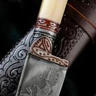 Нож Пчак Шархон - рукоять кость, клинок 15см - Фото 12