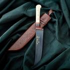 Нож Пчак Шархон - рукоять кость, клинок 15см - Фото 5