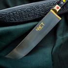 Нож Пчак Шархон - рукоять текстолит, клинок 17см - Фото 6
