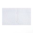 Тетрадь 12 листов косая линейка «Зелёная обложка», плотность 60 г/м², белизна 92% - Фото 3