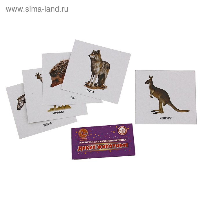 Развивающие карточки "Дикие животные" - Фото 1