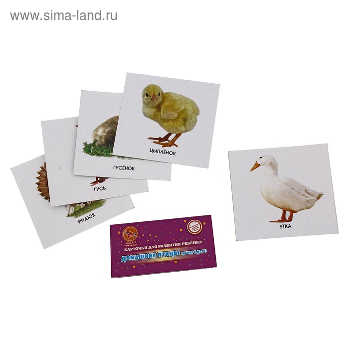 Развивающие карточки "Домашние птицы" 12 шт - Фото 1