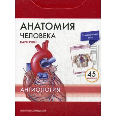 Анатомия человека: карточки. (45шт). Ангиология. Сапин М.Р., Николенко В.Н., Тимофеев М.О.