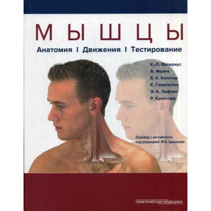 Мышцы. Анатомия. Движения. Тестирование. Под ред. Цыкунова М. Б.