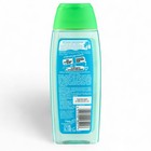 Гель для душа Fa «Кокосовая вода», 250 мл - Фото 3