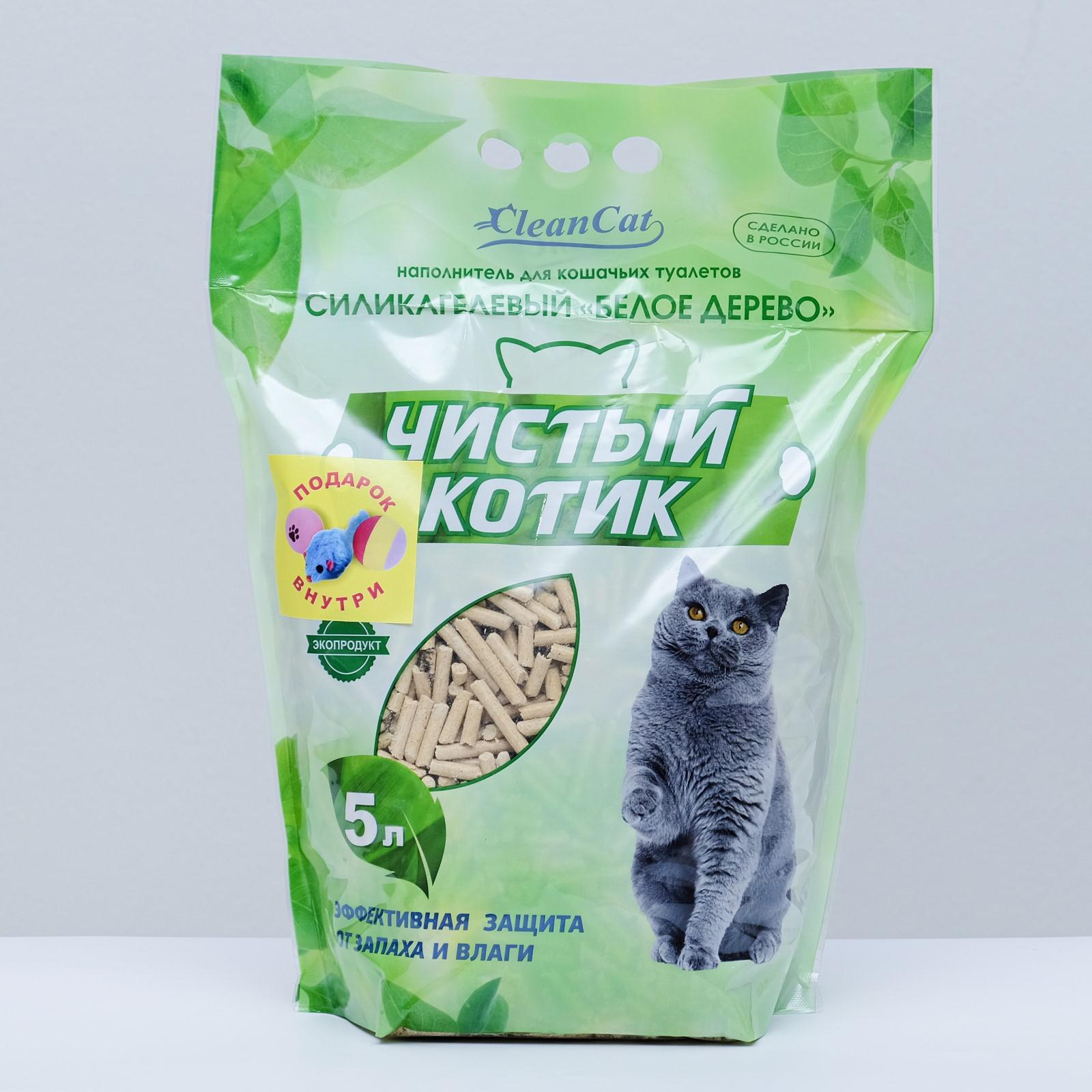 Чистый котик стерлитамак