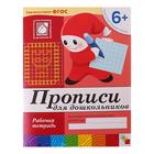 Рабочая тетрадь «Прописи для дошкольников» (подготовительная группа), Денисова Д., Дорожин Ю. - Фото 1