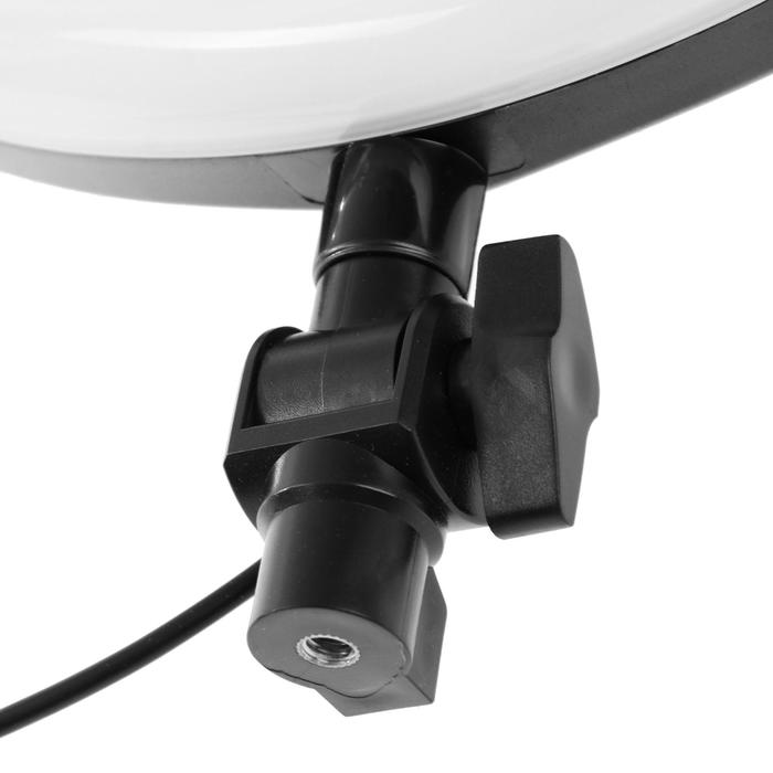 Светодиодная кольцевая лампа M33, лампа 32 см, 10 Вт, чёрная - фото 1888079705