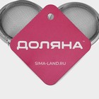 Ситечко для чая Доляна «Классика», d=5 см, нержавеющая сталь, серебристое - Фото 6