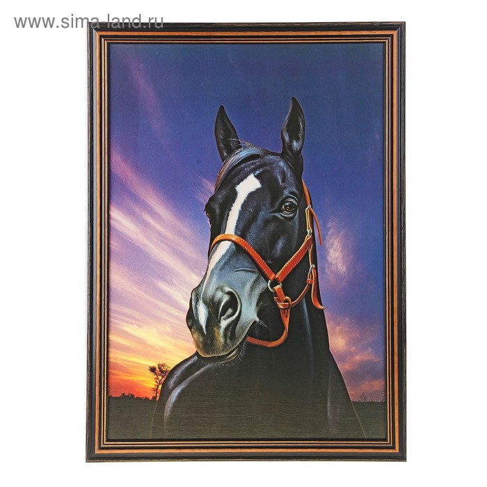 Книга черный конь. Алмазная мозаика черный конь. Картины черных лошадей. Картина 50*70 лошадь черная. Картина по номерам черный конь.
