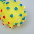 Игрушка пищащая "Гантель малая" для собак, 12,5 см, жёлтая - Фото 4