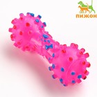 Игрушка пищащая "Гантель малая" для собак, 12,5 см, розовая - фото 318488437