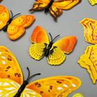 Магнит пластик "Бабочки жёлто-оранжевые" набор 12 шт - фото 25364671