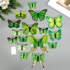 Магнит пластик "Бабочки зелёные" набор 12 шт - фото 320543073