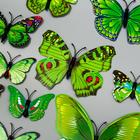 Магнит пластик "Бабочки зелёные" набор 12 шт - Фото 2