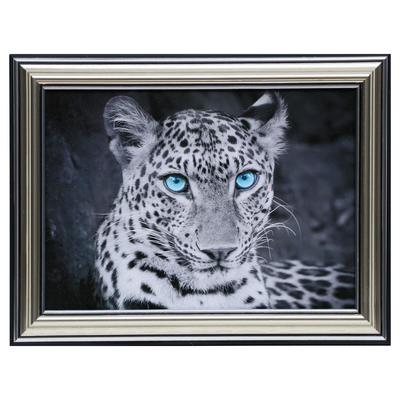 Картина «Голубоглазый хищник», 13×18(16×21) см