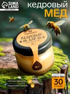 Мёд «Кедровый дар», 30 г - Фото 1