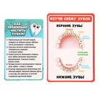 Игровой набор доктора «Лучший доктор. Стоматолог» - Фото 11