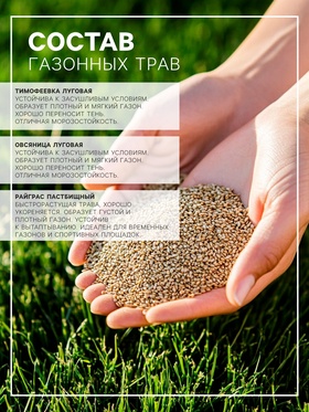 Газонная травосмесь «Быстрый газон», 20 кг
