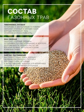 Газонная травосмесь «Городская», 20 кг