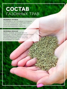 Газонная травосмесь «Северная», 20 кг