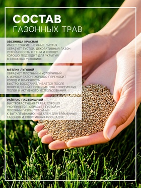 Газонная травосмесь "Спортивная", 20 кг