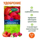 Удобрение Добрая сила клубника-малина, 0,9 кг - фото 322301589