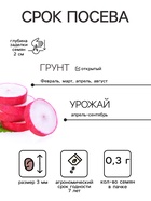 Семена Редис «Селеста», F1, 0.3 г, среднеспелый, «Тимирязевский питомник» - Фото 2