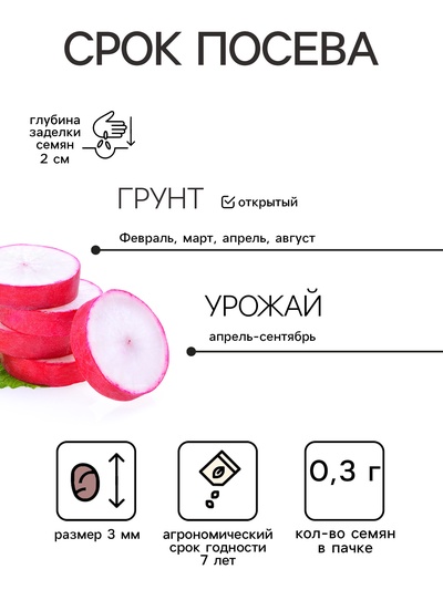 Семена Редис «Селеста», F1, 0.3 г, среднеспелый, «Тимирязевский питомник»