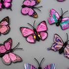 Магнит пластик "Бабочка одинарные крылышки светло-розовые" 4,5 см - Фото 2