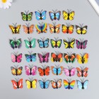 Магнит пластик "Бабочка одинарные крылышки разноцветные" 4,5 см - Фото 3