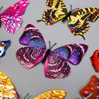 Магнит пластик "Бабочки двойные крылья" голография МИКС 8х12 см - Фото 2