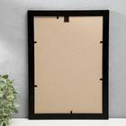 Фоторамка для фото 21×30 см, МДФ, белый с черным, (пластиковый экран) - фото 45423042