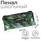 Пенал школьный, плоский, ПВХ, 9.5×20.5 см «Сочиняй мечты» - Фото 1