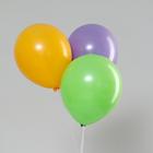 Шар латексный 12", макарун, набор 100 шт., цвета МИКС - Фото 2