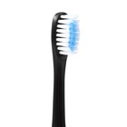 Электрическая зубная щётка Luazon LP-004, вибрационная, от 1хAA (не в компл.), черная - фото 8812045
