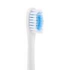 Электрическая зубная щётка Luazon LP-005, вибрационная, 2 насадки, от АКБ, белая - фото 6399548
