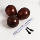 Шар латексный 5", макарун, водные бомбочки, набор 100 шт., цвет шоколадный - фото 9213608