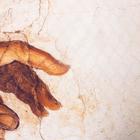 Постельное белье "Этель" Евро Сотворение 200*217 см, 240*220 см, 50*70 см - 2 шт - фото 53681453 Постельное белье "Этель" Евро Сотворение 200*217 см, 240*220 см, 50*70 см - 2 шт - фото 53681453